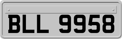 BLL9958