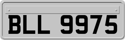 BLL9975