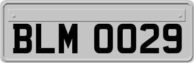 BLM0029