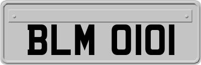 BLM0101