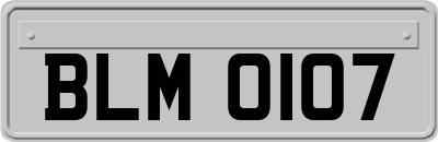 BLM0107