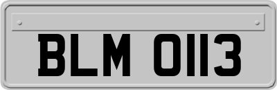 BLM0113