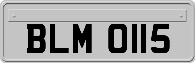 BLM0115