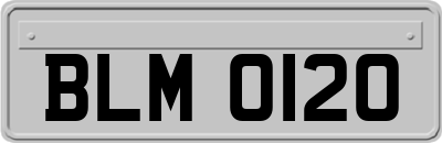 BLM0120