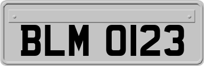 BLM0123