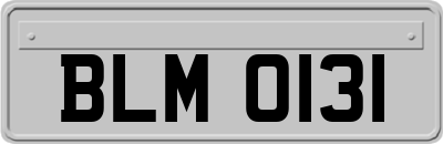 BLM0131