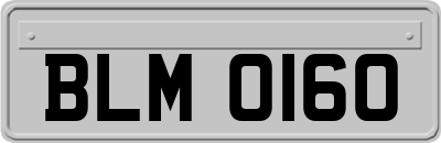 BLM0160