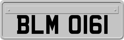 BLM0161