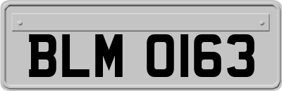 BLM0163