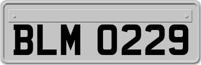 BLM0229