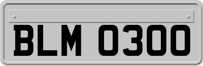 BLM0300