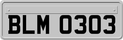 BLM0303