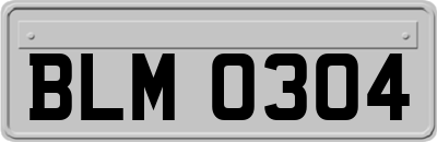 BLM0304