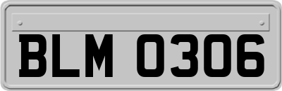 BLM0306