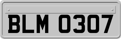 BLM0307