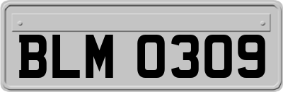 BLM0309