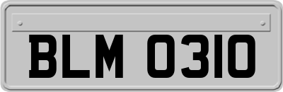 BLM0310