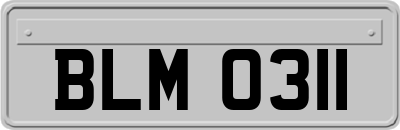 BLM0311