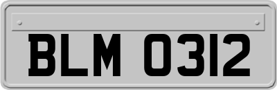 BLM0312