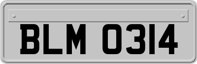 BLM0314