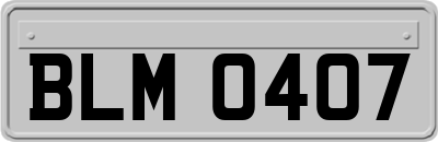 BLM0407
