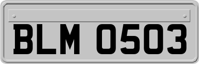 BLM0503