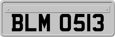 BLM0513