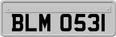 BLM0531