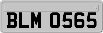 BLM0565