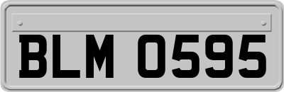 BLM0595