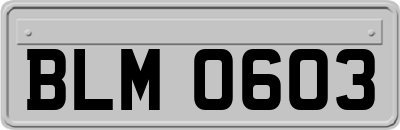 BLM0603