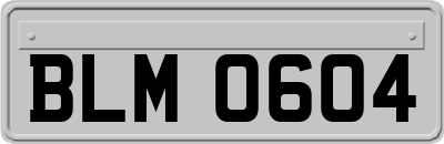 BLM0604