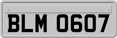 BLM0607