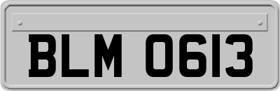 BLM0613