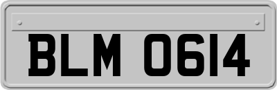 BLM0614
