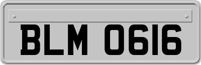 BLM0616