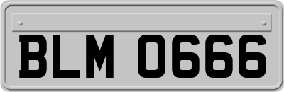 BLM0666