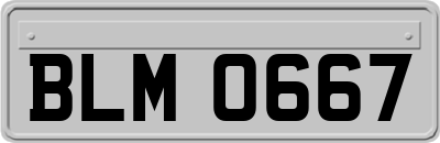 BLM0667