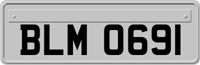 BLM0691