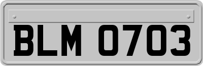 BLM0703