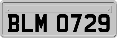 BLM0729