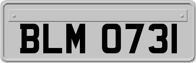 BLM0731