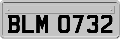 BLM0732