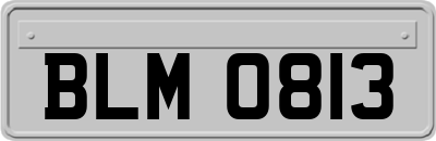 BLM0813
