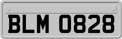 BLM0828