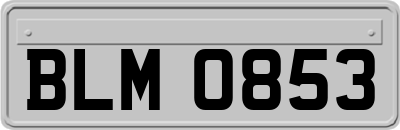 BLM0853