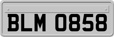 BLM0858