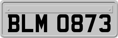 BLM0873