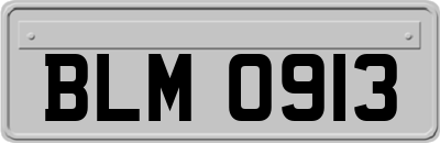 BLM0913