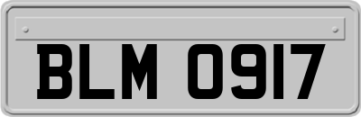 BLM0917